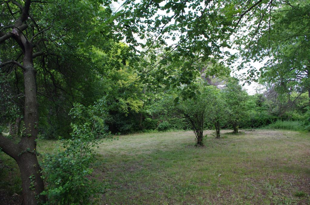 Chateau Le Vergel Authenac Ginestas Bilik gambar