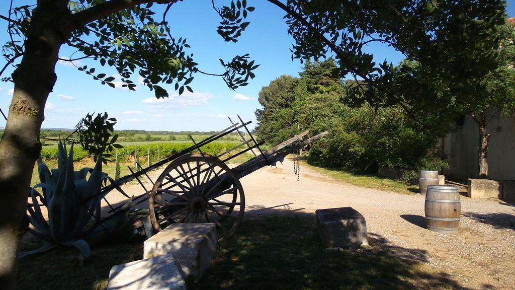 Chateau Le Vergel Authenac Ginestas Bilik gambar