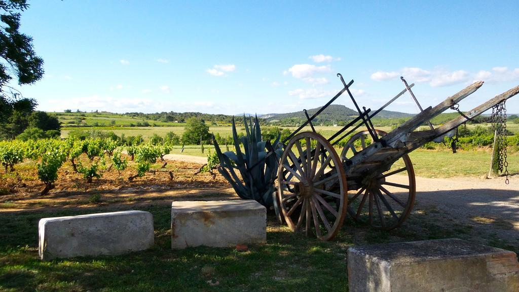 Chateau Le Vergel Authenac Ginestas Bilik gambar