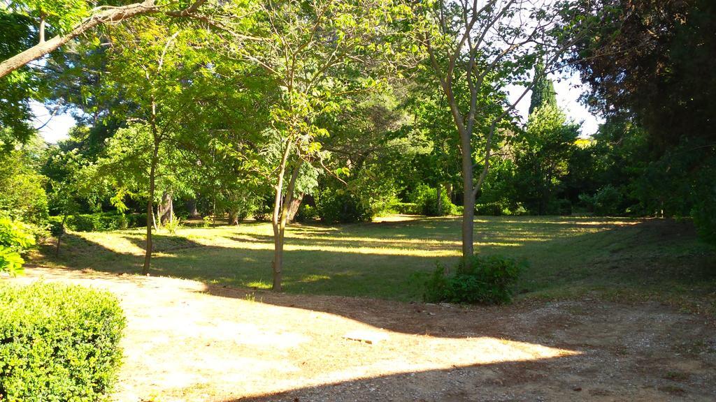 Chateau Le Vergel Authenac Ginestas Bilik gambar