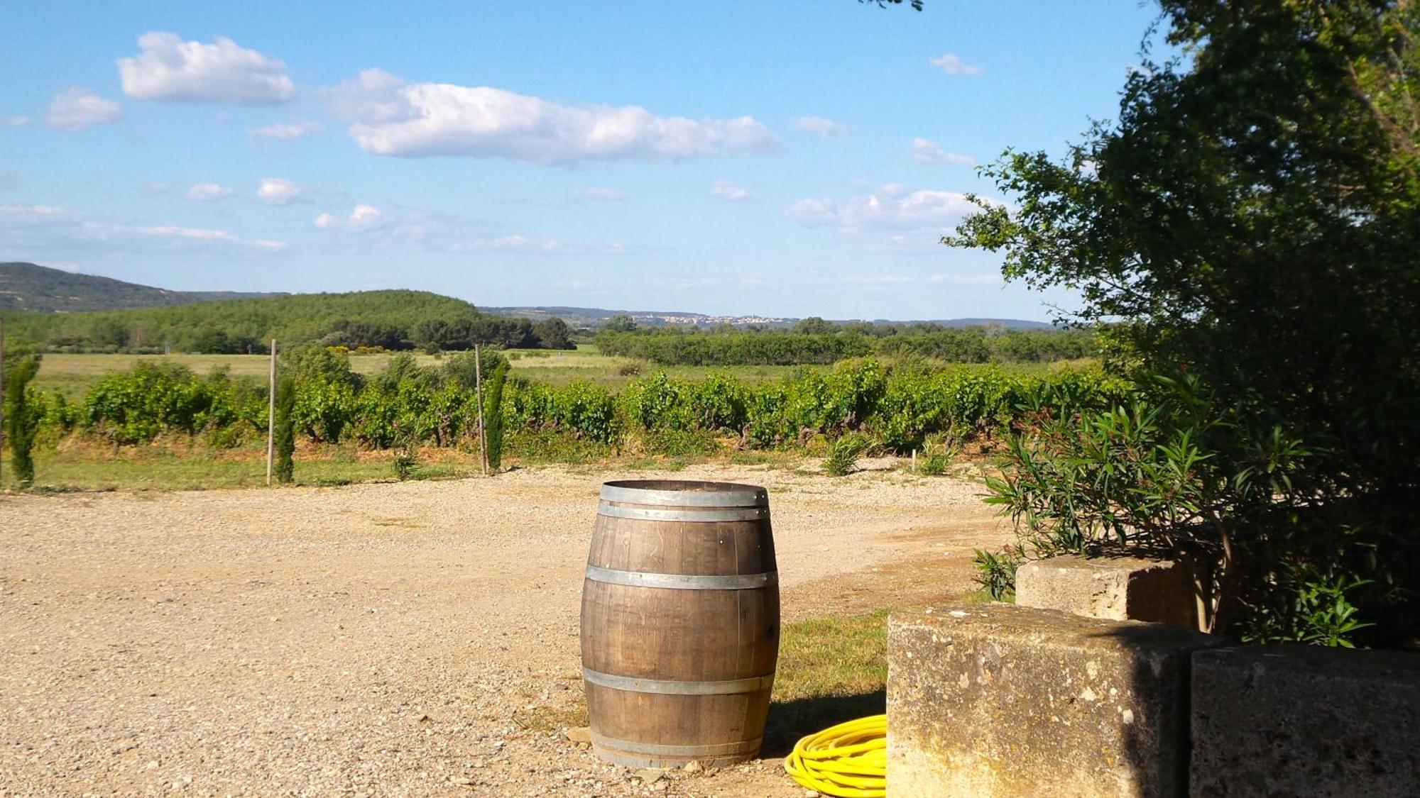 Chateau Le Vergel Authenac Ginestas Bilik gambar